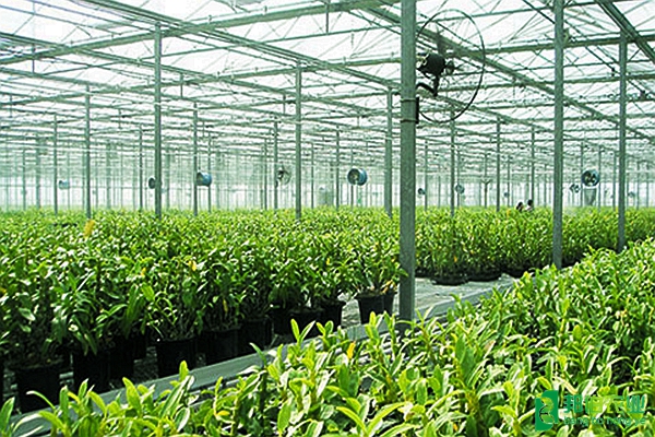 浙江海寧森禾種業(yè)溫室環(huán)境智能控制系統(tǒng) - 邦伯農(nóng)業(yè) - .