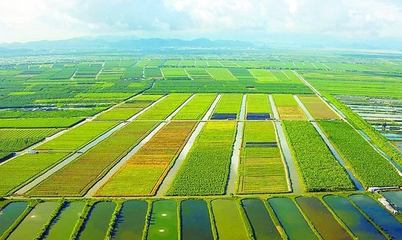 泰安汶農(nóng)種業(yè)有限責(zé)任公司