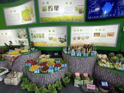 超級(jí)稻品種數(shù)量全國第一 種業(yè)發(fā)展助力浙江農(nóng)業(yè)提質(zhì)增收