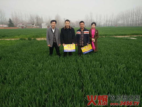 河南晨博種業(yè) 以科技創(chuàng)新引領(lǐng)現(xiàn)代種業(yè)發(fā)展