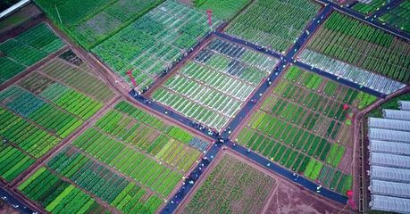 2019中國云南蔬菜種業(yè)博覽會(huì) 開啟種業(yè)新篇章